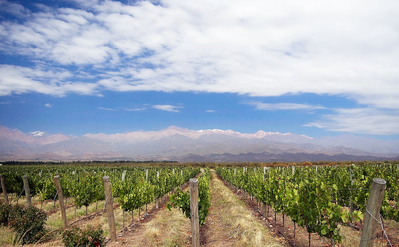 Viñedos de Mendoza con la Cordillera de los Andes